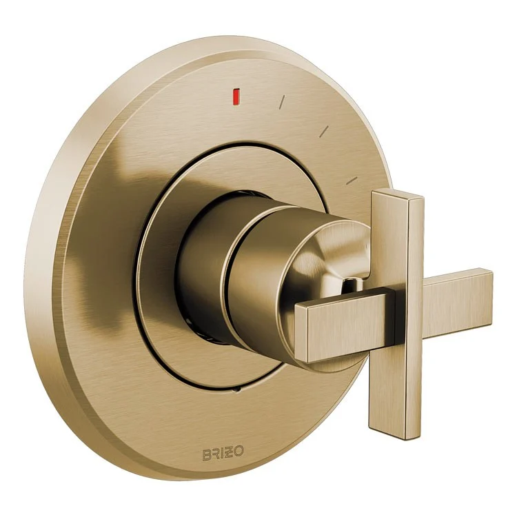 Pressure Balance Valve Trim Levoir with Monitor Technology Less Handle Brilliance Luxe Steel ADA